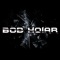 Beanfield - Bob Hoiar lyrics