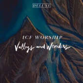 Valleys and Wonders (Deluxe Version) artwork
