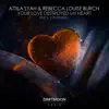 Your Love Destroyed My Heart (Incl. LTN Remix) - EP album lyrics, reviews, download