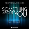 Something About You (Additional Remixes) - Single
