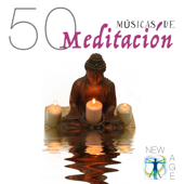 50 Músicas de Meditación – La Más Suave Música Relajante con los Sonidos de la Naturaleza para lograr una Atmosfera Romántica - Direction Relax & Relax & Relax