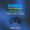 Green Hill Zone Orchestra (From "Sonic the Hedgehog") - Single album lyrics, reviews, download