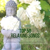 Top 50 Relaxing Songs - Reduce Stress and Anxiety with 50 Best Meditation Music & 50 Zen Asian Songs artwork