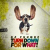Turn Down for What! - Single