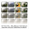 Brasil Electronico: Electro Chillout Grooves of Brazil