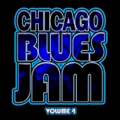 Chicago Blues Jam - Come On In My House