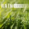 Soothing Rain Sounds - Healing Rain Sound Academy lyrics