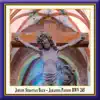 Bach: Johannespassion, BWV 245 (Live) album lyrics, reviews, download