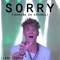 Sorry (Spanish Version) - Lionel Ferro lyrics