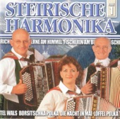 Steirische Harmonika - Featwies Polka