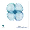 Zusammenklang - Wild Chestnut