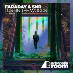 Lost in the Woods (Club Mix) - Single by SNR & Faraday album reviews, ratings, credits