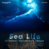 Sea Life artwork