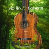Violão & Floresta artwork