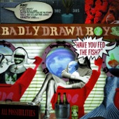 Badly Drawn Boy - All Possibilities