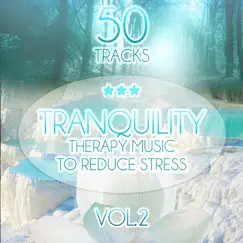 Tranquility, Relaxing Piano & Soothing Ocean Waves Song Lyrics