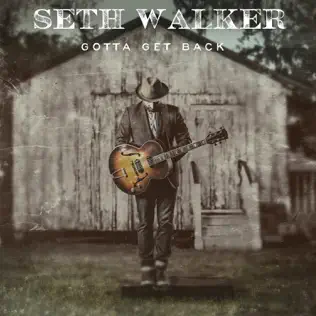 descargar álbum Seth Walker - Gotta Get Back