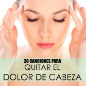 20 Canciones para Quitar el Dolor de Cabeza artwork