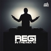 Regi In the Mix 15 artwork