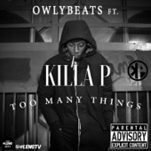 Too Many Things (feat. Killa P) artwork
