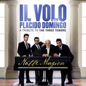 Notte Magica - A Tribute to The Three Tenors (Live) artwork