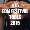 #75 EDM Festival Tools 2015