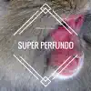 Stream & download Super Perfundo - Single