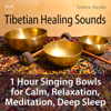 Tibetian Healing Sounds - 1 Hour Singing Bowls for Calm, Relaxation, Meditation, Deep Sleep - Single - Torsten Abrolat