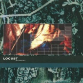 Locust - Moist Moss