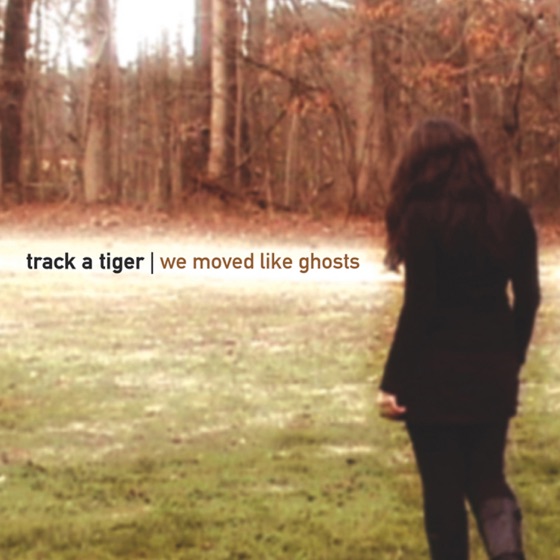 Cover artwork for Without Fail