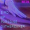 Oathbreaker - Bird Of Paradise lyrics