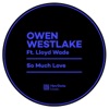So Much Love - Radio Edit by Owen Westlake, Lloyd Wade iTunes Track 2