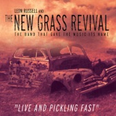 Leon Russell & The New Grass Revival - Jumpin' Jack Flash