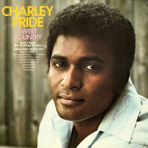 Art for Don't Fight The Feelings Of Love by Charley Pride