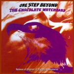 I Don't Need No Doctor