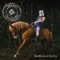 November Rain - Steve ‘n’ Seagulls lyrics