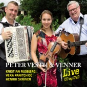 Peter Vesth & Venner (Live) [feat. Kristian Rusbjerg, Vera Panitch & Henrik Skriver] artwork