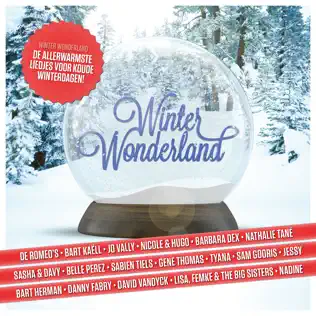 last ned album Various - Winter Wonderland