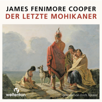 James Fenimore Cooper - Der letzte Mohikaner artwork