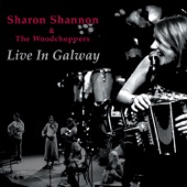 Fire in the Bellies: The Air Tune / The Road to Recovery / Farewell to Chernobyl by Sharon Shannon