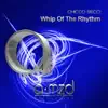 Stream & download Whip of the Rhythm - Single