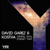 David Garez - Forget That