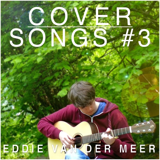 Cover artwork for Everything Has Changed
