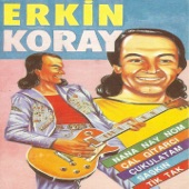 Erkin Koray Meyhanede artwork