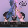 How To Love (feat. Sofia Reyes) [Remixes] - EP album lyrics, reviews, download