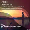 Stream & download Alleviate (Carl Daylim Remix)