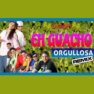 Orgullosa (Remix) - Single - Eh Guacho