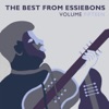 The Best From Essiebons, Vol. 15, 2015