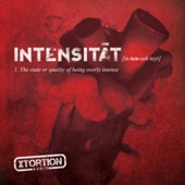 INTENSITAT - in-ten-suh-teyt (The State or Quality of Being Overly Intense) artwork