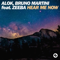 Alok & Sevenn - Hear Me Now (feat. Zeeba)